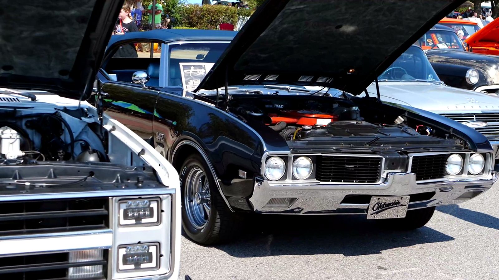 Muscle cars with hoods raised in a row