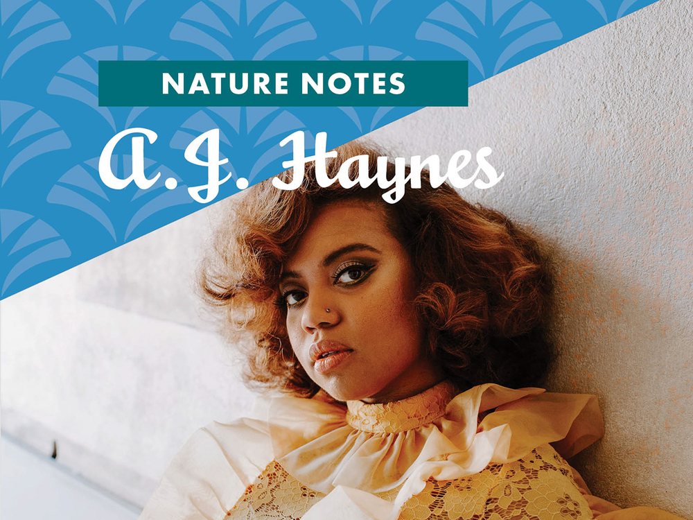 August 29, Nature Notes, A.J. Haynes